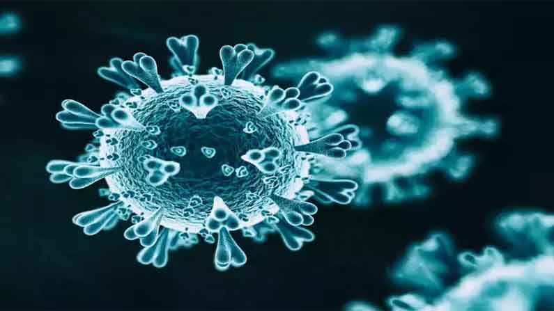Coronavirus: తెలంగాణలో స్పీడు పెంచిన కరోనా వైరస్‌.. గడిచిన 24 గంటల్లో ఎన్ని పాజిటివ్‌ కేసులంటే..!