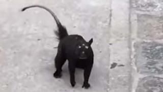 మిసెస్ శ్రీలంక విజేతకు ఘోర అవమానం.. అర్హురాలివి కాదంటూ స్టేజ్‏పైనే అలా ప్రవర్తించిన మాజీ రాణీ..