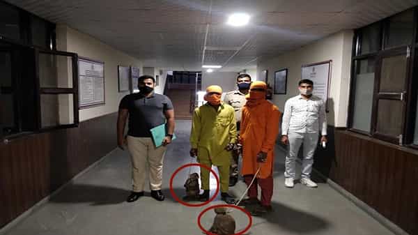 Varity Theft: వానరాలే వారి అస్త్రం.. కోతులతో మాయ చేసి లీలగా దోచేస్తారు.. జర భద్రం గురూ !