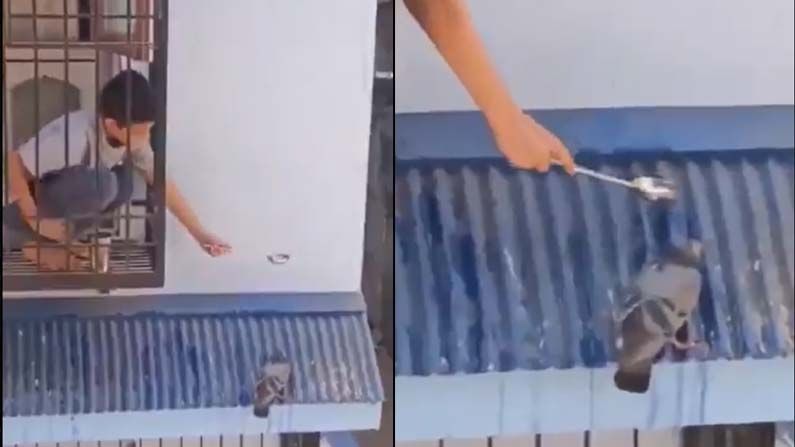 Viral Video: ఈ బుడ్డోడు వయసులోనే చిన్నోడు..దయా గుణంలో చాలా పెద్దోడు.. పిల్లలంటే ఇలా ఉండాలి..