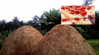 చెన్నైలో దారుణం.. బస్టాండ్ లో మహిళకు నిప్పు పెట్టి తానూ అంటించుకున్న వ్యక్తి.. ఇద్దరూ దుర్మరణం!