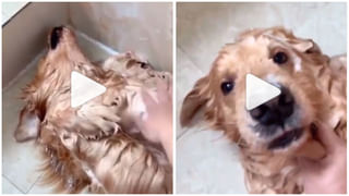 రియల్ హీరో, రైలు కింద పడిపోబోయిన చిన్నారిని రక్షించిన రైల్వే ఉద్యోగి, ఎక్కడంటే?