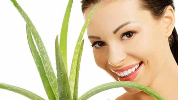 Summer Skin Tips: ఎండాకాలంలో కలబందతో ఎన్ని ఉపయోగాలో.. తెలిస్తే అసలు విడిచిపెట్టరు..