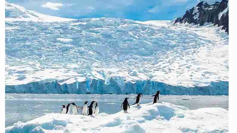 Antarctica: పెరుగుతున్న భూతాపంతో అంటార్కిటికాలోని మంచుఫలకాలకు ముంచుకొస్తున్న ముప్పు.. బ్రిటన్ శాస్త్రవేత్తల పరిశోధనల్లో వెల్లడి