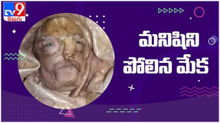 మరో బ్రూస్లీ పుట్టాడంటూ నెటిజెన్ల కామెంట్లు..BruceLee కే సాధ్యమైన వన్ఇంచ్ పంచ్ టెక్నీక్‌తో ఓ యువకుడి వీడియో..Viral Video.