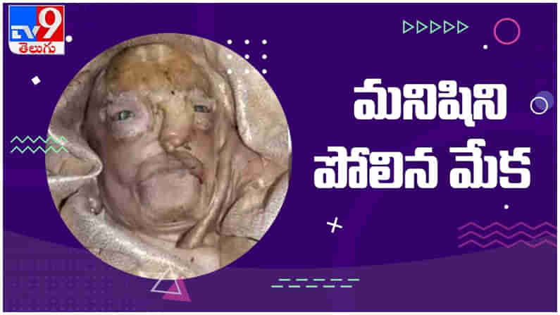 మ‌నిషిని పోలిన‌ జీవికి జన్మనిచ్చిన మేక‌.. దేవుడంటూ పూజిస్తున్న జనం.. వైరల్‌గా మారిన వీడియో...