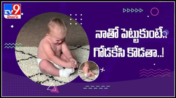 నాతో పెట్టుకుంటే..గోడకేసి కొడతా..!సోషల్మీడియాలో వైరల్గా మారిన చిన్నారి వీడియో..:Baby viral Video