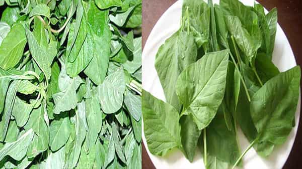 Benefits of Amaranth: ఈజీగా బరువు తగ్గాలనుకుంటున్నారా..! అయితే ఈ ఆకుకూరని ట్రై చేయండి