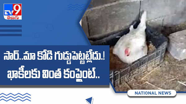 సార్.. మా కోడిపెట్ట గుడ్డుపెట్టట్లేదు.! ఖాకీలకు వింత ఫిర్యాదు.మహారాష్ట్రలో వింత ఘటన వైరల్ అవుతున్న వీడియో ..:Viral Video.