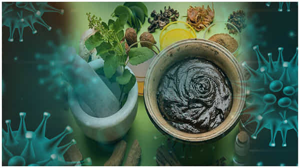 Ayurvedic for Corona: ఆయుర్వేదంతో కరోనాకు చెక్.. అడ్డ సరం మొక్కతో తాజా ప్రయోగాలలో కీలక ముందడుగు
