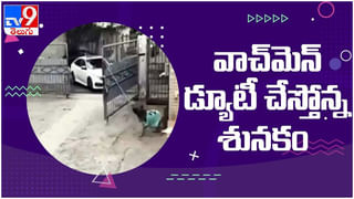 Guntur GGH hospital: మూడు కాళ్లతో జన్మించిన వింత శిశువు…!! చివరకి ఏమైందంటే… ( వీడియో )