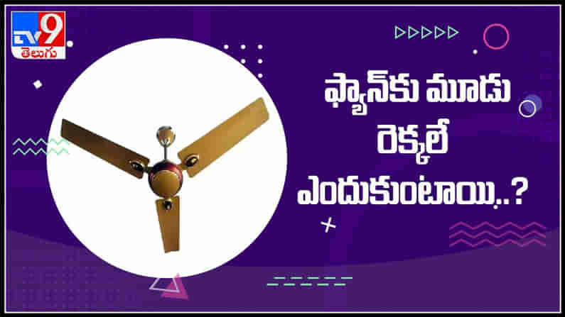 ఫ్యాన్‌కు మూడు రెక్కలే ఎందుకుంటాయి?ఎప్పుడు అయినా తెలుసుకోవాలి అనిపించిందా ..?: Why Fan Have Three Blades? Video.