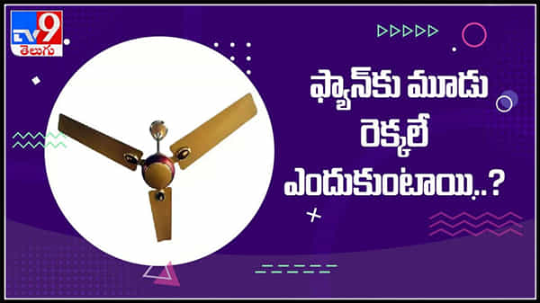 ఫ్యాన్కు మూడు రెక్కలే ఎందుకుంటాయి?ఎప్పుడు అయినా తెలుసుకోవాలి అనిపించిందా ..?: Why Fan Have Three Blades? Video.