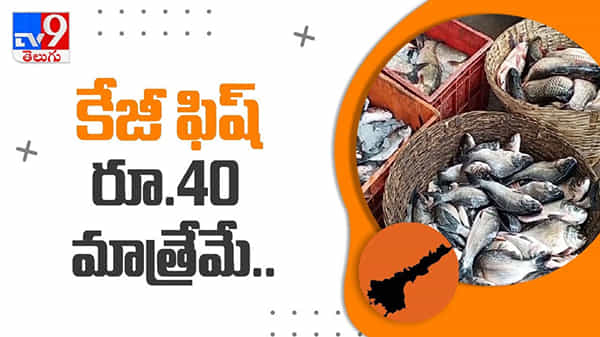దారుణంగా పడిపోయిన చేపల ధరలు.. కేజీ ఫిష్ రూ 40 మాత్రేమే:KG Fish RS.40 Video.