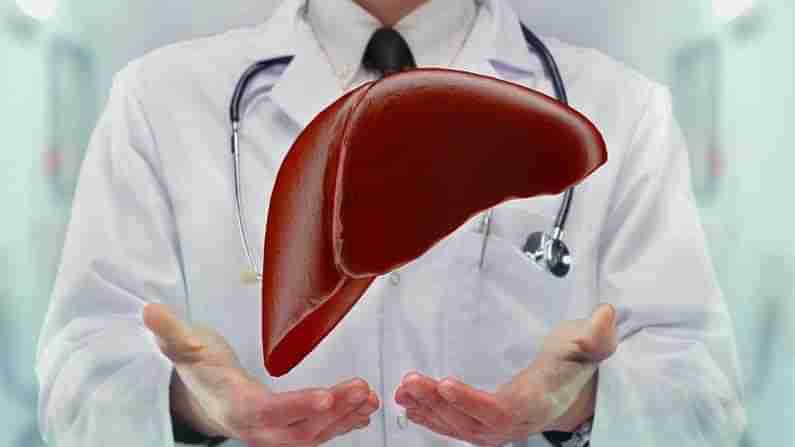 World Liver Day 2021: మన శరీరంలో ముఖ్యమైన అవయవం కాలేయం.. దీనిని శుభ్రం చేసి.. ఆరోగ్యంగా ఉంచే ఆహారపదార్ధాలు ఏమిటంటే..!