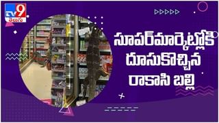 Viral Video: హడలెత్తిస్తున్న మూడు కళ్ల వింత జీవి…!! వైరల్‌ అవుతోన్న వీడియో…!!