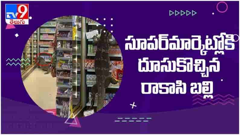 viral video: థాయ్లాండ్ లోని ఒక సూపర్మార్కెట్లోకి దూసుకొచ్చిన రాకాసి బల్లి..!! వైరల్ వీడియో..
