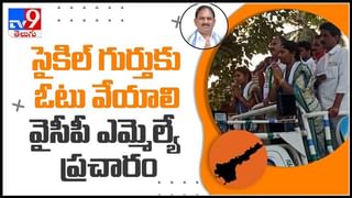 ఆరుబయట అదరగొట్టిన ప్రి వెడ్డింగ్‌ షూట్ వైరల్ అవుతున్న ఫొటోస్ వీడియో..:Pre wedding shoot goes viral video.