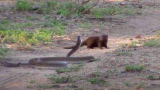 Auto Ambulance: ‘కరోనా పరిస్థితులను చూసి ఉండలేకపోయా’.. ఆటోను అంబులెన్స్‌గా మార్చిన డ్రైవర్.. ఉచితంగా సేవలు..