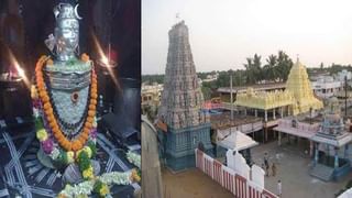 Importance Of Holy Tulasi: హిందువుల పూజ్యనీయ మొక్క తులసి పెరుగుదల ఆ ఇంటి వైభవానికి చిహ్నమా.. అకస్మాత్తుగా ఎండిపోతే..!