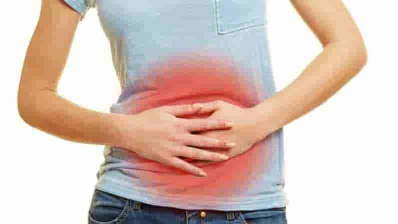 Summer Tips: వేసవిలో ఈ హెల్త్ సమస్యలతో బాధపడుతున్నారా ? ఈ చిన్న చిన్న ట్రిక్స్ ఫాలో అయితే మీరు ఆరోగ్యంగా ఉన్నట్లే..