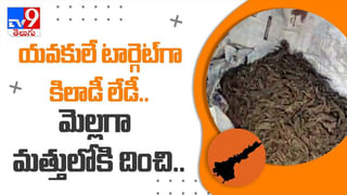 Dinosaur: మా ఇంటి తోటలో బుల్లి డైనోసార్ తిరుగుతోంది.. జాగ్రత్త.. వైరల్ గా మారిన ఓ మహిళ వీడియో.. ఇంతకీ అది ఏమిటి? Viral Video