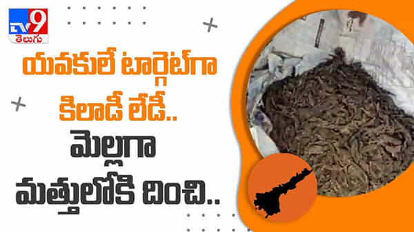 యువతే టార్గెగా కిలాడీ లేడీ మెల్లగా మత్తులోకి దించి.. వ్యాపారం చేస్తున్న మహిళ : lady arrest in vizianagaram video.