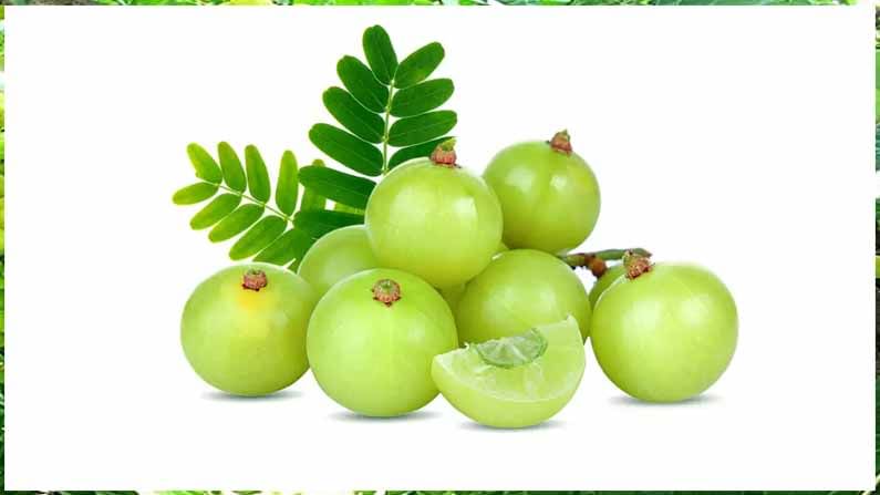 Amla Health Benefits: ఉసిరికాయతో ఎన్నో ప్రయోజనాలు.. ఉదయాన్నే ఉసిరి తింటే ఆ సమస్యలు పరార్‌..!