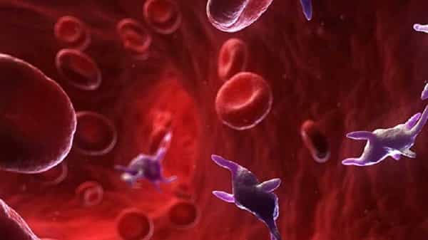 Corona Antibodies: కొవిడ్ విజేతల్లో 8 నెలల పాటు యాంటీబాడీలు.. తాజా పరిశోధనలో వెల్లడి