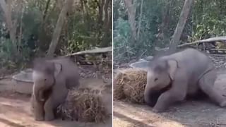 Ghost Fear: బాబోయ్..అక్కడ దెయ్యాలు ఉన్నాయి..ఆ ఇంటికి నేను వెళ్ళను అంటున్న దేశ ప్రధాని! ఎక్కడో తెలుసా?