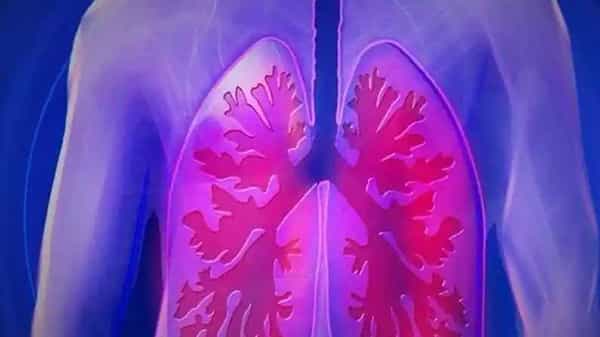 Corona Virus: కరోనా వైరస్ మీ శరీరంలోకి ప్రవేశించినట్లు లంగ్స్ ముందే అలెర్ట్ చేస్తాయంటున్న శాస్త్రజ్ఞులు.. ఎలా తెలుసుకోవాలంటే..!