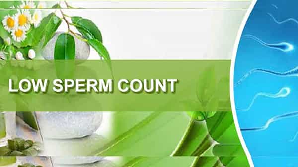Countdown: వచ్చే నాలుగు దశాబ్దాలలో పురుషులలో స్పెర్మ్ కౌంట్ 50 శాతం తగ్గిపోనుందా? ఎందుకు? శాస్త్రవేత్తలు ఏమంటున్నారు?