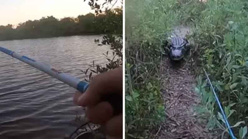 Massive Alligator: నదిలో చేపలు పడుతున్న వ్యక్తి పైకి అకస్మాత్తుగా వచ్చిన భారీ మొసలి..తరువాత ఏం జరిగిందంటే..Viral Video
