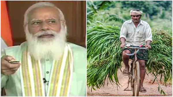 PM Kisan: రైతులకు శుభవార్త.. పీఎం కిసాన్ డబ్బుల విడుదల.. రైతుల ఖాతాల్లో నగదు జమ చేసిన మోదీ