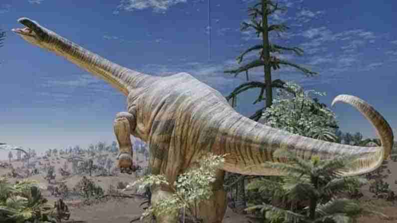 Sauropod Dinosaur: 10 కోట్ల ఏళ్లనాటి సారోపాడ్ డైనోసార్ ఎముకలు లభ్యం.. మేఘాలయలో కొనసాగుతున్న అణ్వేషణ..