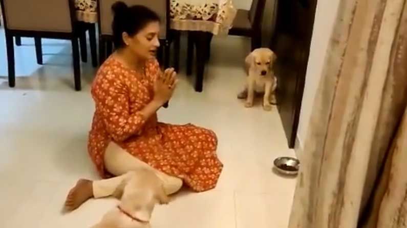 Viral Video of Dogs: ఈ పెంపుడు కుక్కల పద్ధతి చూస్తే వావ్ అనాల్సిందే.. మనుషులు కూడా ఇలా చేయరేమో..!