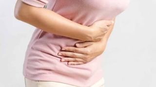 తెల్ల జుట్టుతో ఇబ్బంది పడుతున్నారా..! అయితే న్యాచ్‌రల్ హెన్నా ట్రై చేయండి.. సమ్మర్‌లో హెయిర్‌కి ప్రొటక్ట్ కూడా..?