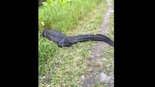 Sleeping Girl: ఈ కాలపు ఊర్మిళ..ఒక్కసారి పడుకుందా..ఇక పదమూడు రోజులపాటు నిద్రలోనే..అలా ఎందుకంటే..