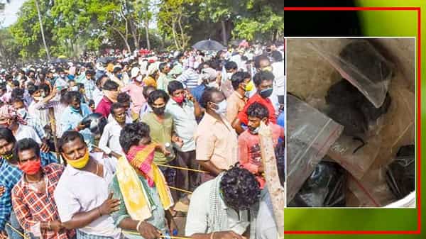 Anandayya Corona Medicine: ఆనందయ్యది ఆయుర్వేదమా? నాటు మందా?.. ఆయుష్ కమిషనర్ క్లారిటీ