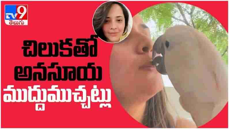 Anasuya Bharadwaj: చిలకతో అనసూయ ముద్దు ముచ్చట్లు... నెట్టింట వైరల్ గ మారిన వీడియో..