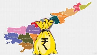 AP budget 2021: అర్చకుల వేతనాల పెంపుపై హర్షం వ్యక్తం చేసిన స్వామి స్వరూపానందేంద్ర