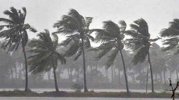 Rain Alert: ఏపీ ప్రజలకు అలర్ట్.. వచ్చే 14 రోజులు కుండపోత వర్షాలు.. హెచ్చరికలు జారీ చేసిన అధికారులు!