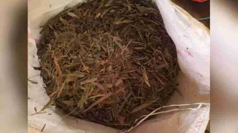 Bamboo leaf tea: వెదురు ఆకులతో అదిరిపోయే ఛాయ్.. రుచి చాలా మ‌ధుర‌మ‌ట‌