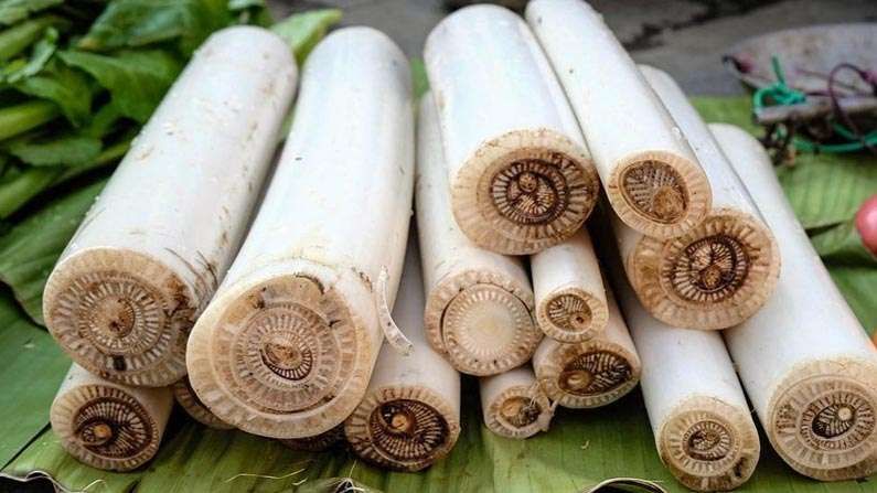 Banana Stem Benefits : అరటి చెట్టు కాండంలో అద్భుత ఔషధ గుణాలు..! కిడ్నీ స్టోన్ సమస్యకు చక్కటి పరిష్కారం..?