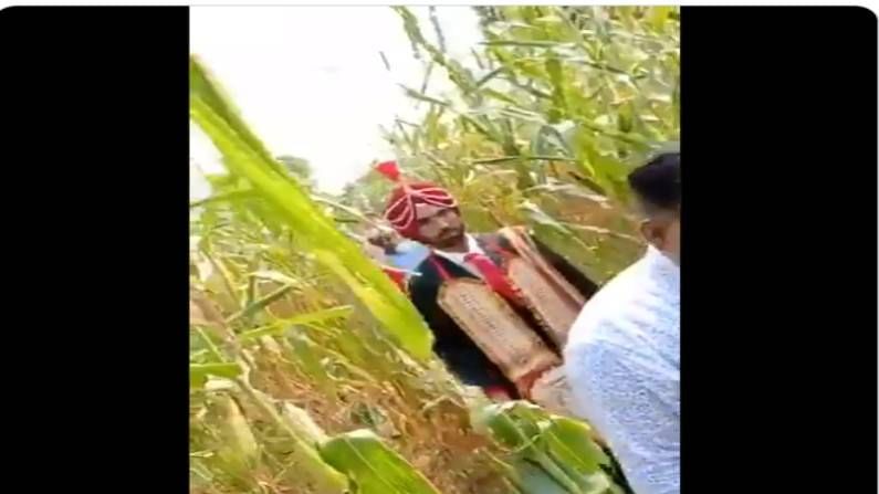 Barat Video: లాక్‌డౌన్ ఎఫెక్ట్.. పొదలు, పంట పొలాల్లో పెళ్లి బరాత్.. చూసి నివ్వెరపోతున్న నెటిజన్లు