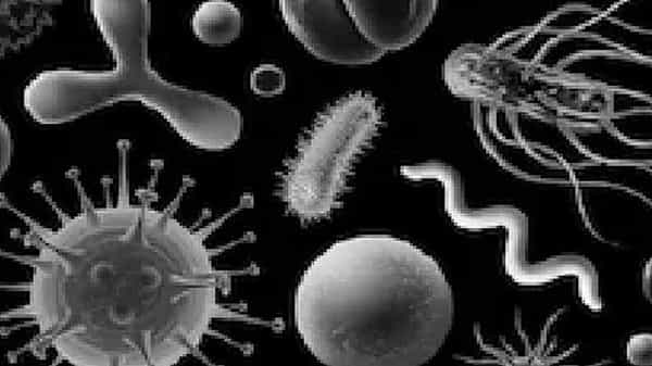 Skin black fungus: మరో టెన్షన్... స్కిన్ బ్లాక్ ఫంగస్.... దేశంలో ఫస్ట్ కేసు నమోదు..