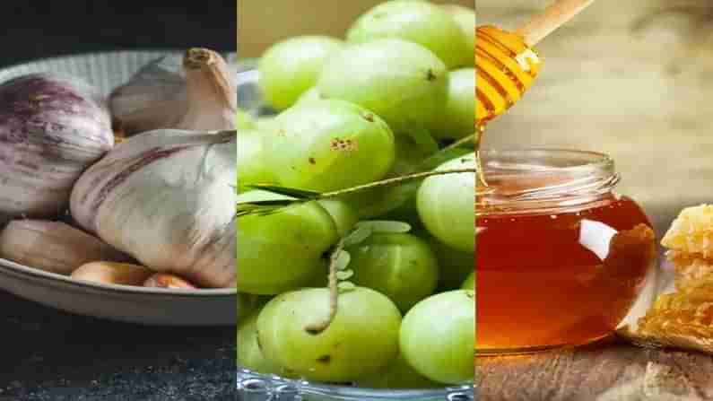 రోజూ ఉదయం ఖాళీ కడుపుతో ఈ పదార్థాలను  తింటే... రోగ నిరోధక శక్తిని పెంచుకోవచ్చు..