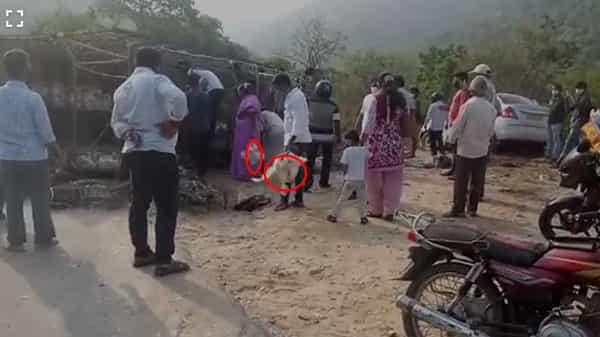 Chittoor District Accident: అమానవీయం.. చిత్తూరు జిల్లాలో కోళ్ల లారీకి యాక్సిడెంట్.. మనుషులు చనిపోయినా పట్టించుకోకుండా...