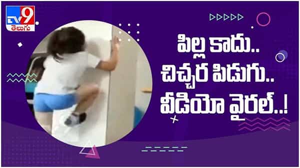 Viral Video: పిల్ల కాదు.. చిచ్చర పిడుగు.. చిన్నారి పట్టుదలకు నెటిజన్లు ఫిదా... ( వీడియో )