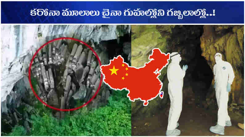 CHINA MYSTERY CAVE: కరోనా మూలాలు గబ్బిలాల్లో..! చైనా గుహలపై వాల్‌స్ట్రీట్ జర్నల్ సంచలన కథనం